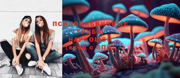 прущая мука Лабытнанги