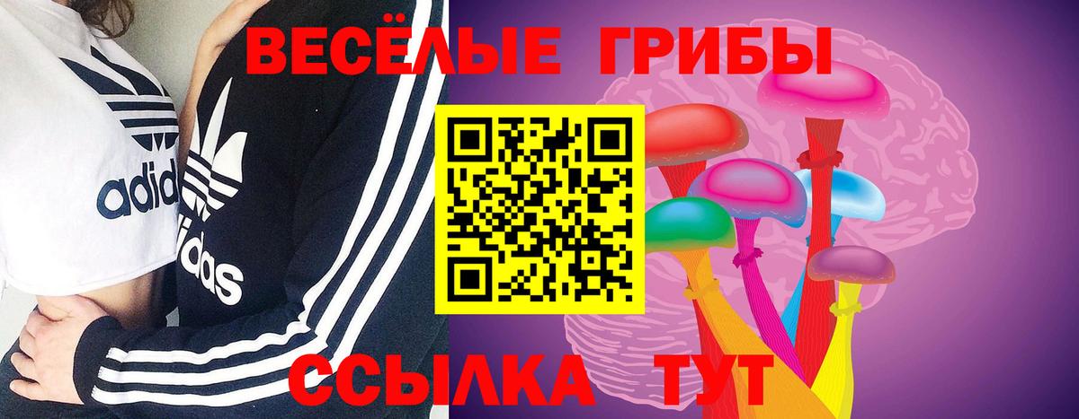 купить наркотики сайты  Вход с VPN  Малгобек  Галлюциногенные грибы прущие грибы  Псилоцибиновые грибы мицелий 